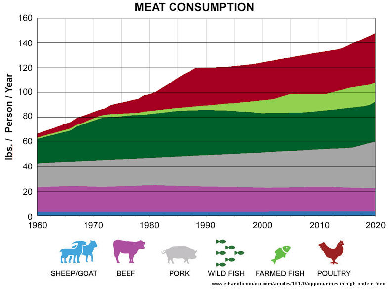 Meat consumption plot