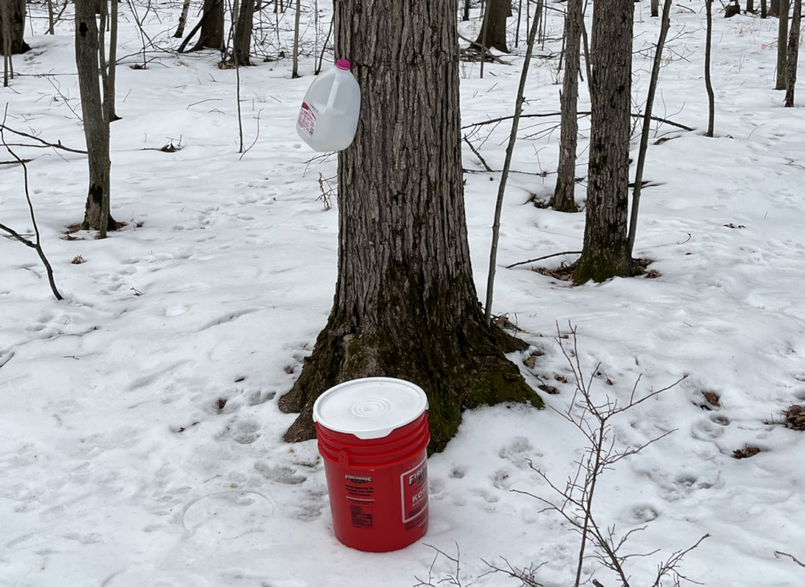 Maple syrup production reminds me of the challenges of recycling plastic